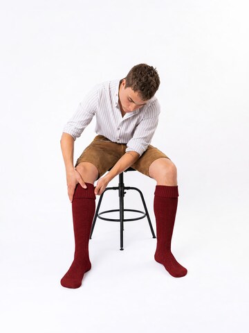 HerzSticht Traditional Socks 'Silberdistel' in Red