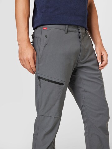 CRAGHOPPERS Regular Outdoor trousers 'Nosi' in Grey