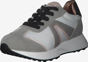 Alexander Smith Sneakers in Grey: front