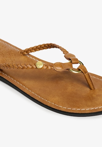Superdry & Co T-bar sandals in Brown