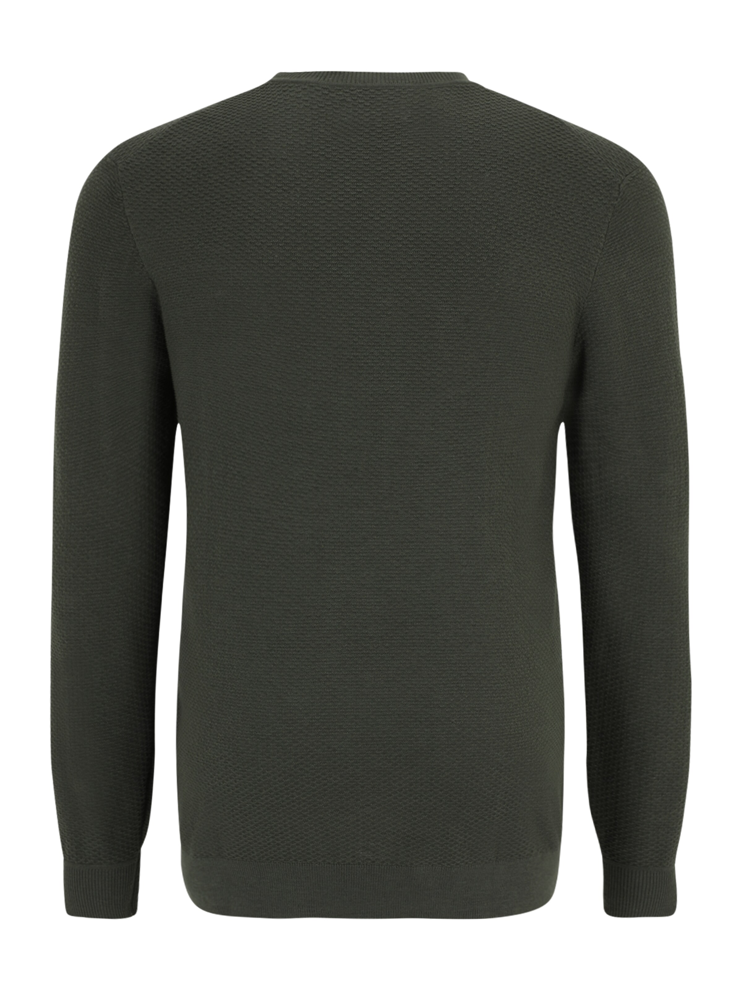 s.Oliver Men Big Sizes Pullover in Grün