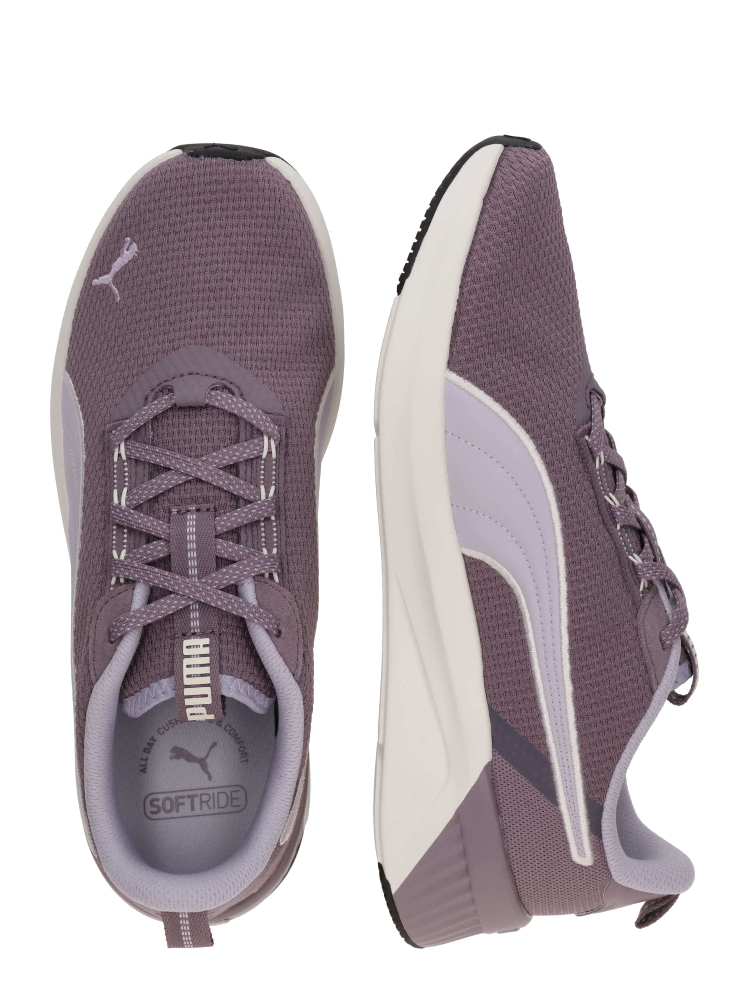 Chaussure de course 'Softride Harli' PUMA en violet