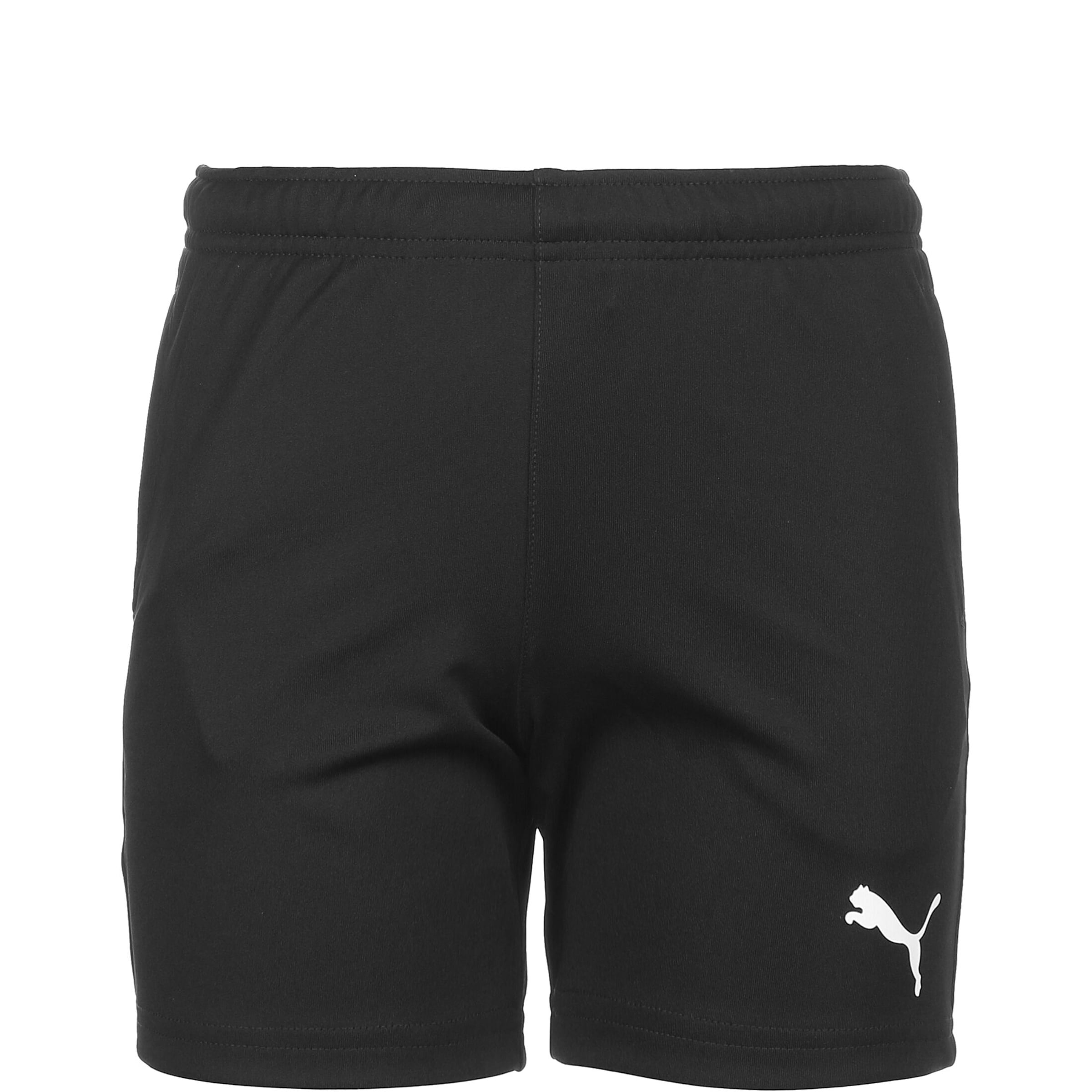 PUMA Regular Urheiluhousut 'Teamrise' värissä musta: etupuoli