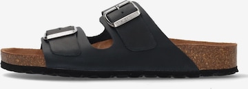 SALAMANDER Pantolette 'Basic' in Blau: Vorderseite
