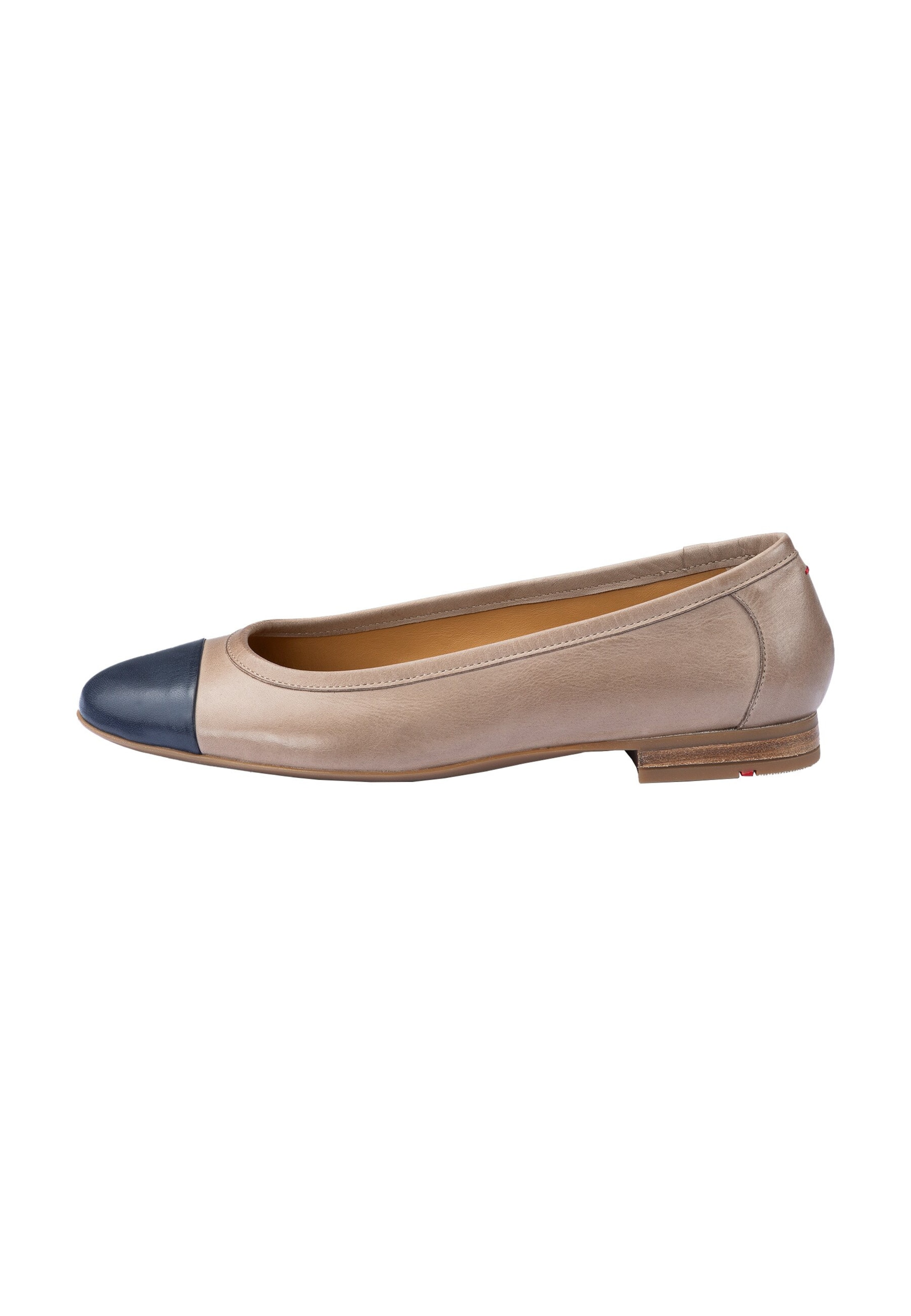 Ballerina di LLOYD in beige: frontale