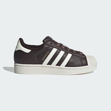 Baskets basses 'Superstar II' ADIDAS ORIGINALS en marron