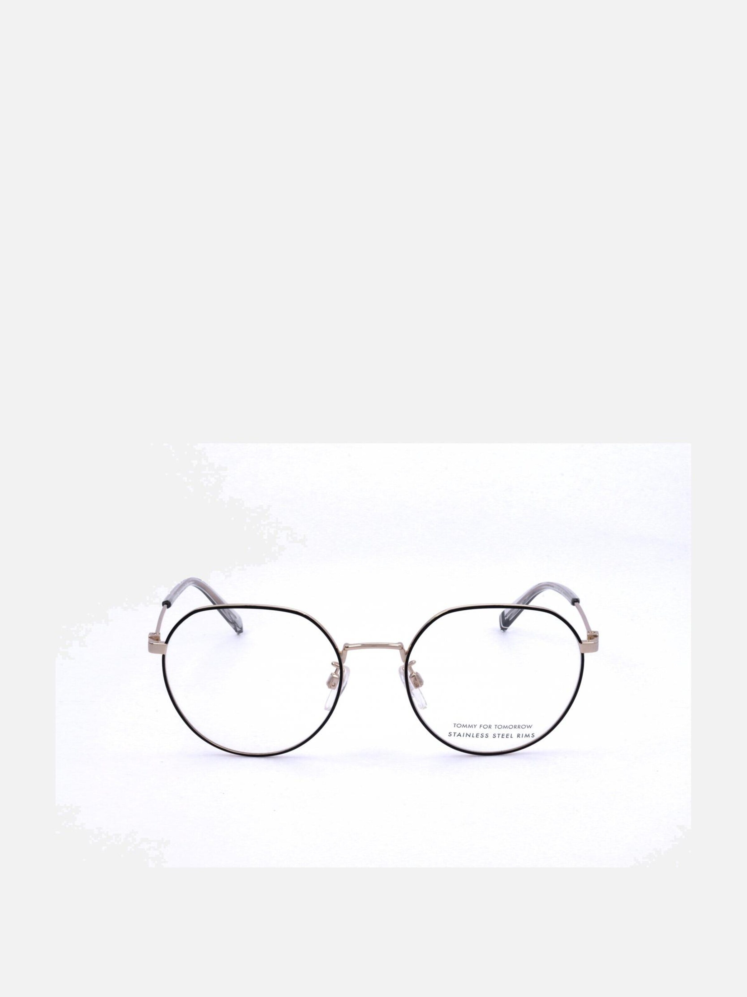 TOMMY HILFIGER Sunglasses 'Tommy Hilfiger TH 2064/G Gold copper 54/19/145 WOMAN Eyewear Frame' in Black: front