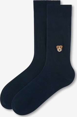 CALZEDONIA Socks in Blue: front