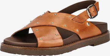 Sandalo con cinturino di PIKOLINOS in marrone: frontale