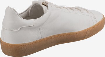 Högl Sneaker 'Glammy' in Weiß