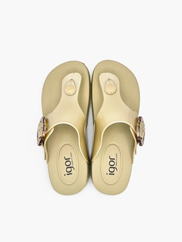 IGOR - Zapatos para playa y agua en beige