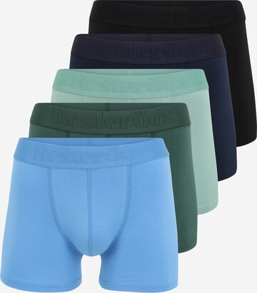 Resteröds Boxer shorts in Green: front
