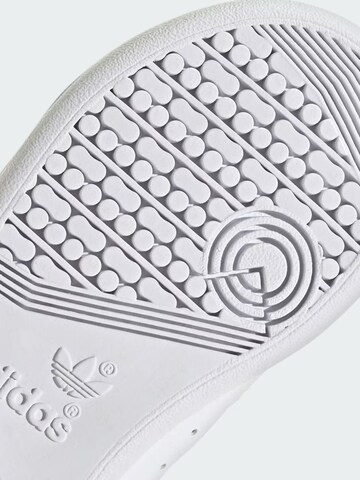ADIDAS - Zapatillas deportivas 'adidas Team Court 2 Str Cf C' en blanco