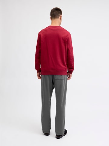 JACK & JONES Regular Trousers 'JPSTKane Norrebro' in Grey