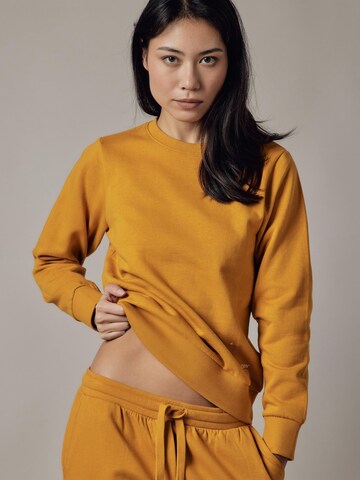 OWN Off With Nature Sweatshirt 'Felpa Felpata Girocollo' in Brown