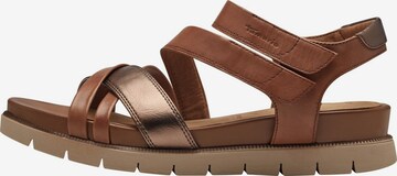 TAMARIS Sandals in Brown