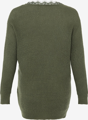 EVOKED Пуловер 'VIFESTA' в зелено