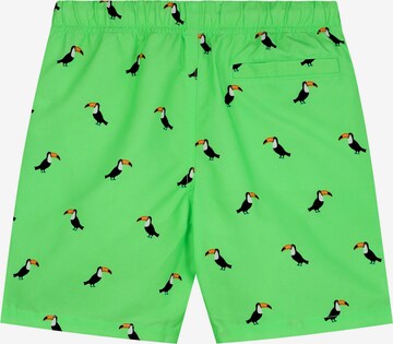 Shiwi Board Shorts in Green