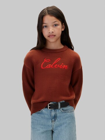 Calvin Klein Jeans Pullover in Rot: Vorderseite