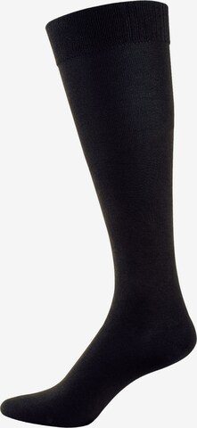 Nur Der Knee High Socks in Black: front