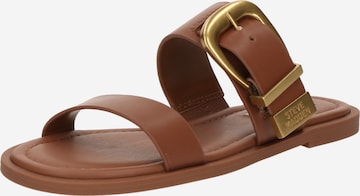 Saboți 'Strider-E' de la STEVE MADDEN pe maro: față