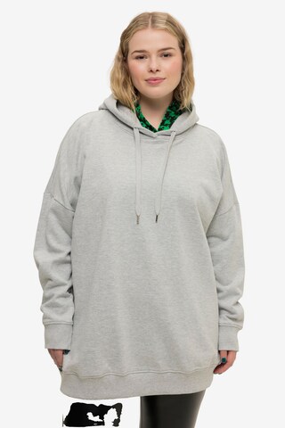 Studio Untold Sweatshirt in Grau: predná strana