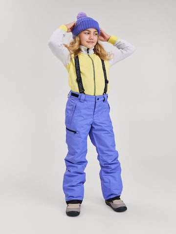 Reima Regular Outdoor trousers 'Terrie' in Purple