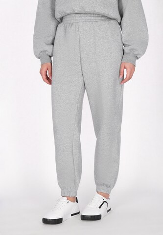 Effilé Pantalon 'Fashion Look' faina Athlsr en gris : devant