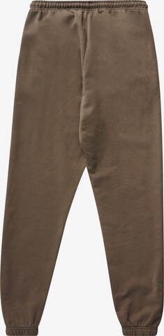 HALO Tapered Pants in Braun