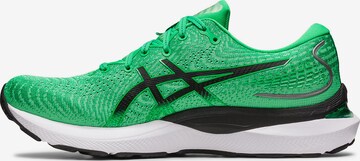 Chaussure de course 'Cumulus 24' ASICS en vert : devant