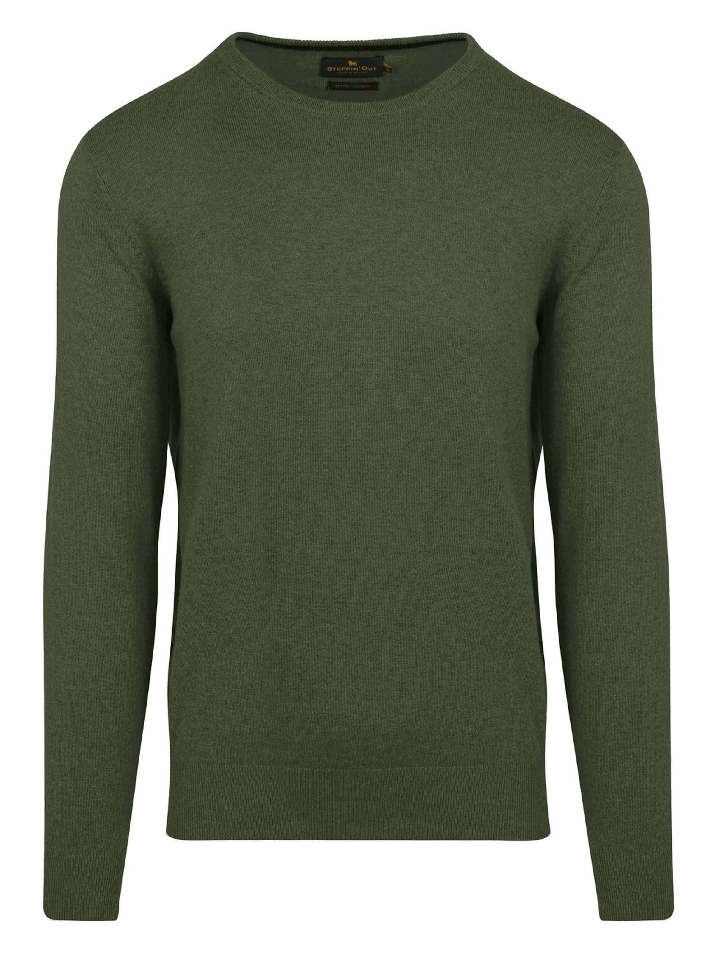Steppin' out Trui in Groen: voorkant