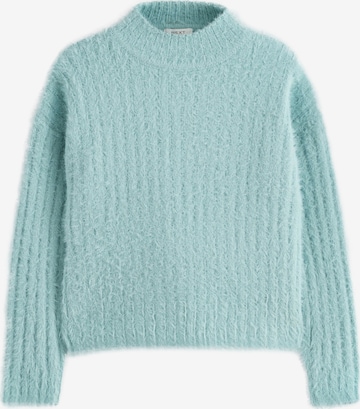 mėlyna Next Megztinis: priekis