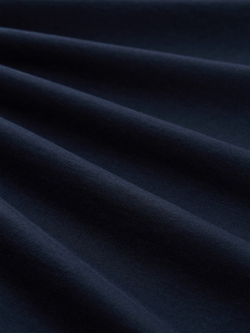 TOM TAILOR Men + T-Shirt in Blau