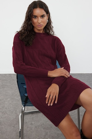 Trendyol Kleid in Rot: Vorderseite