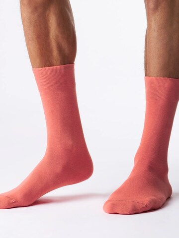 Von Jungfeld Socks 'Signature' in Orange