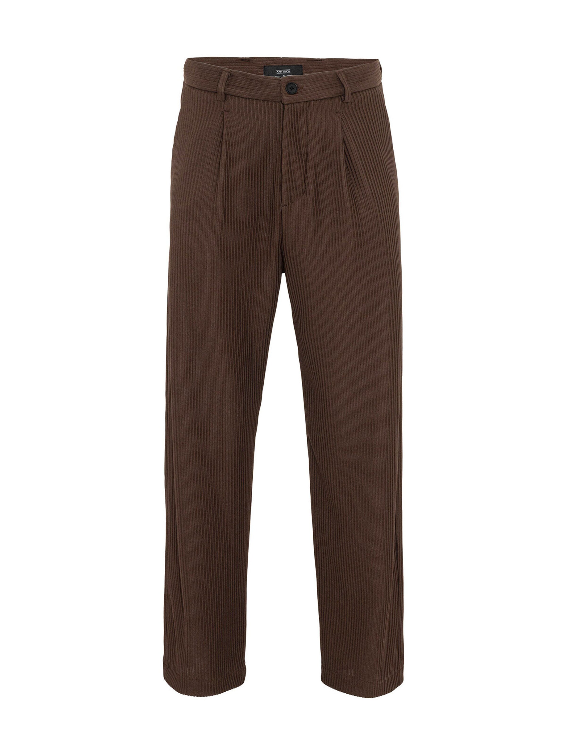 Antioch Ohlapna forma Hlače z naborki | rjava barva: sprednja stran
