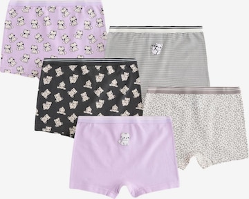 Next Alushousut värissä lila: etupuoli