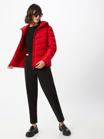 Calvin Klein Jeans Winter jacket in Red