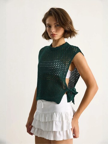 Pull-over Bianco Lucci en vert