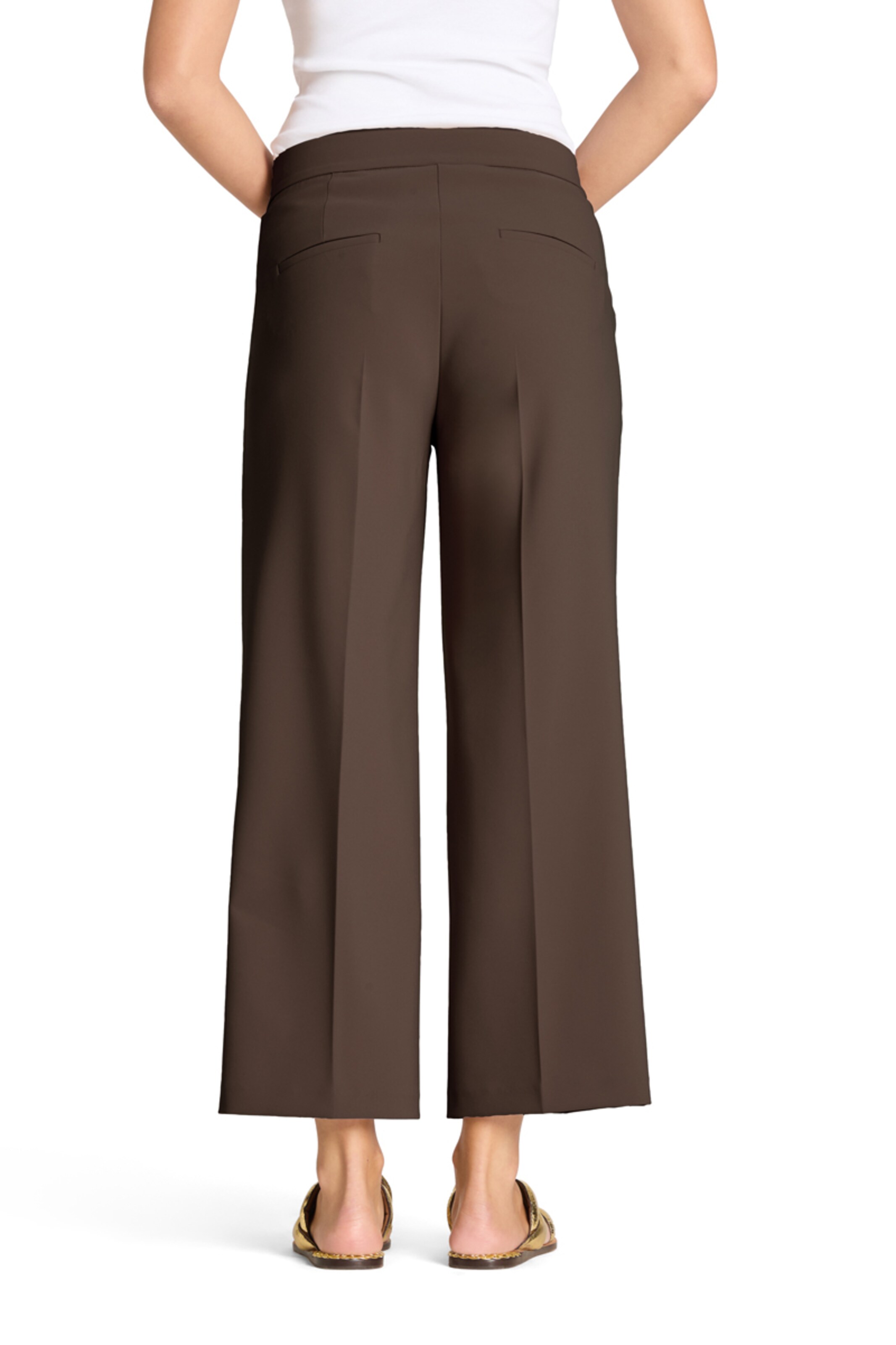 Regular Pantalon à pince ' Cameron ' Cambio en marron