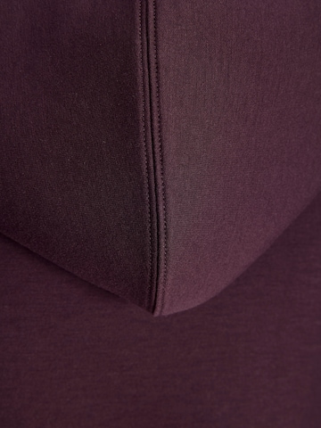 JACK & JONES Sweatshirt 'JCOLEGACY' in Purple
