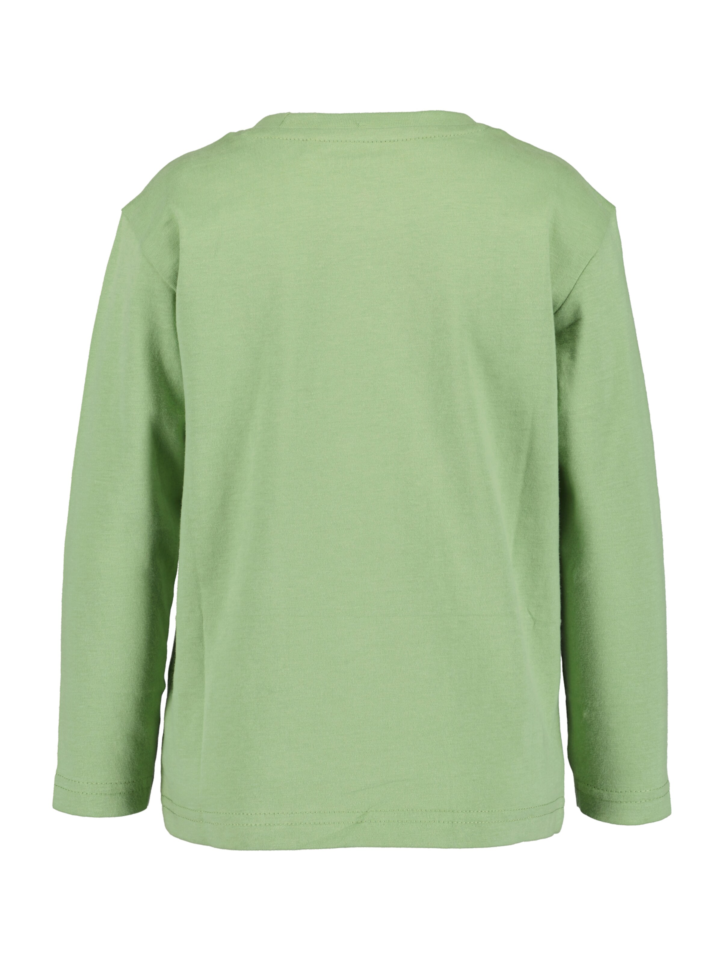 BLUE SEVEN Shirt in Green