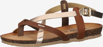 IGI&CO T-Bar Sandals in Brown: front