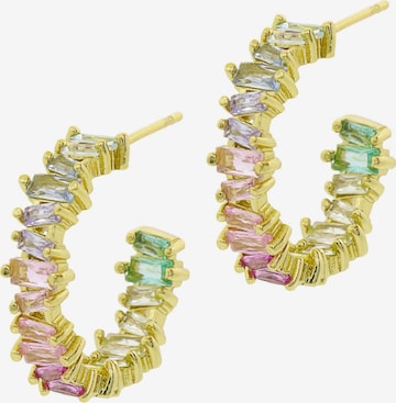 Boucles d'oreilles Fashionbox en mélange de couleurs : devant