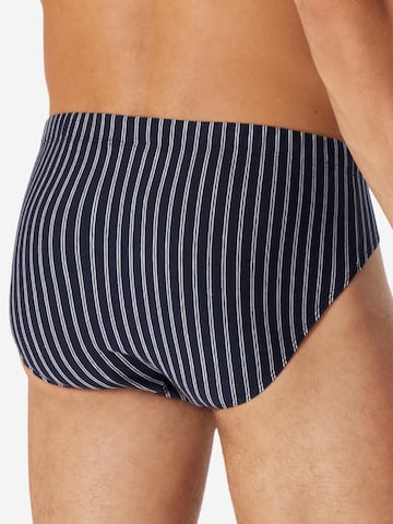 SCHIESSER Slip '95/5 Essentials Organic Cotton' in Blue