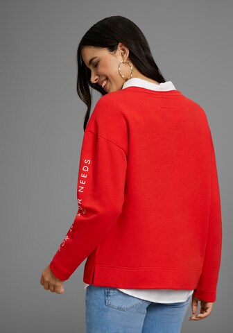 FAYN SPORTS Pullover in Rot