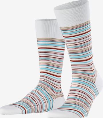 FALKE Socken 'Microblock' in Weiß: Vorderseite