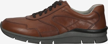 Pius Gabor Sneaker low in Braun