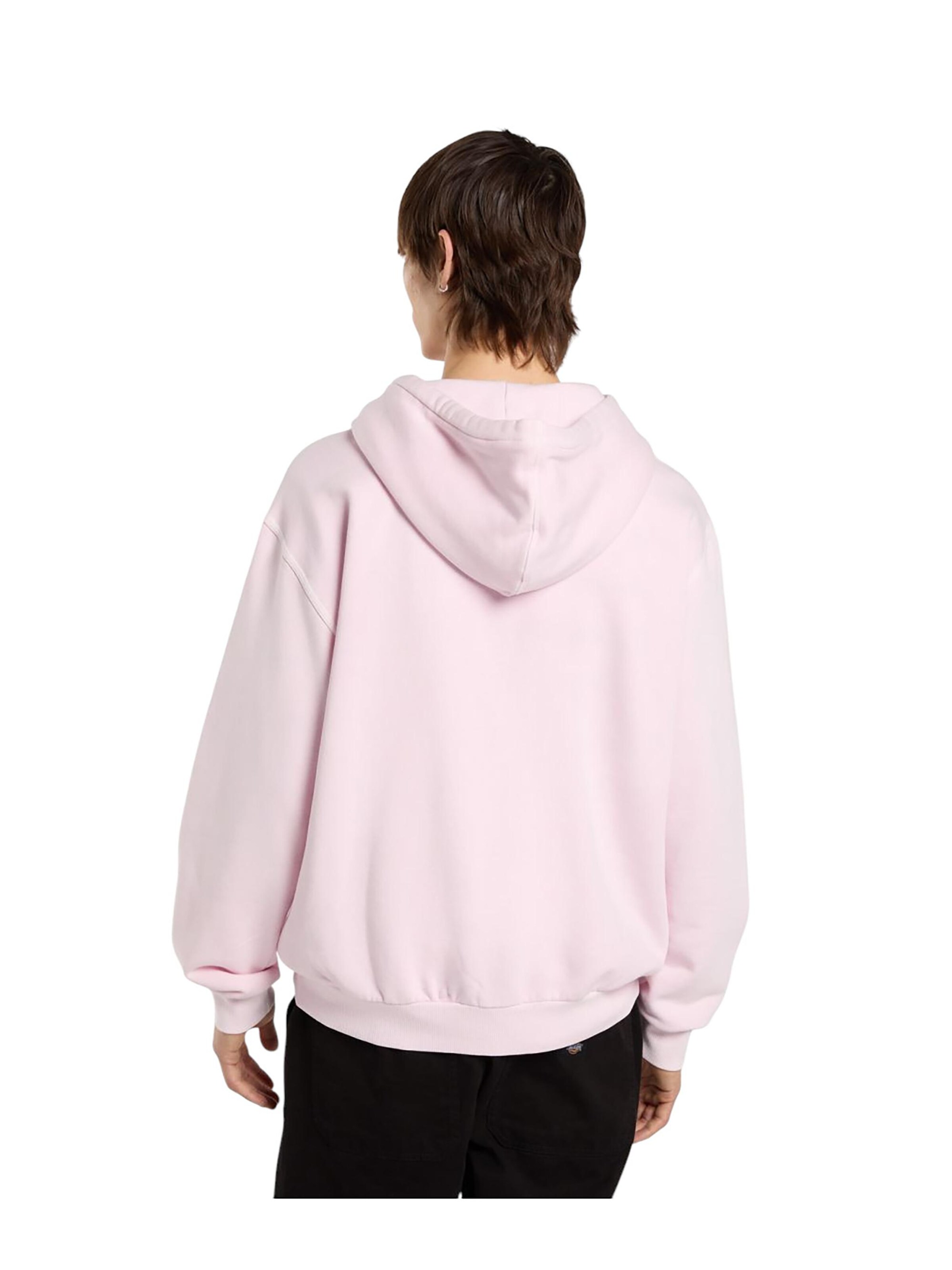 DICKIES Sweatshirt 'Slayden Garment' in Orange