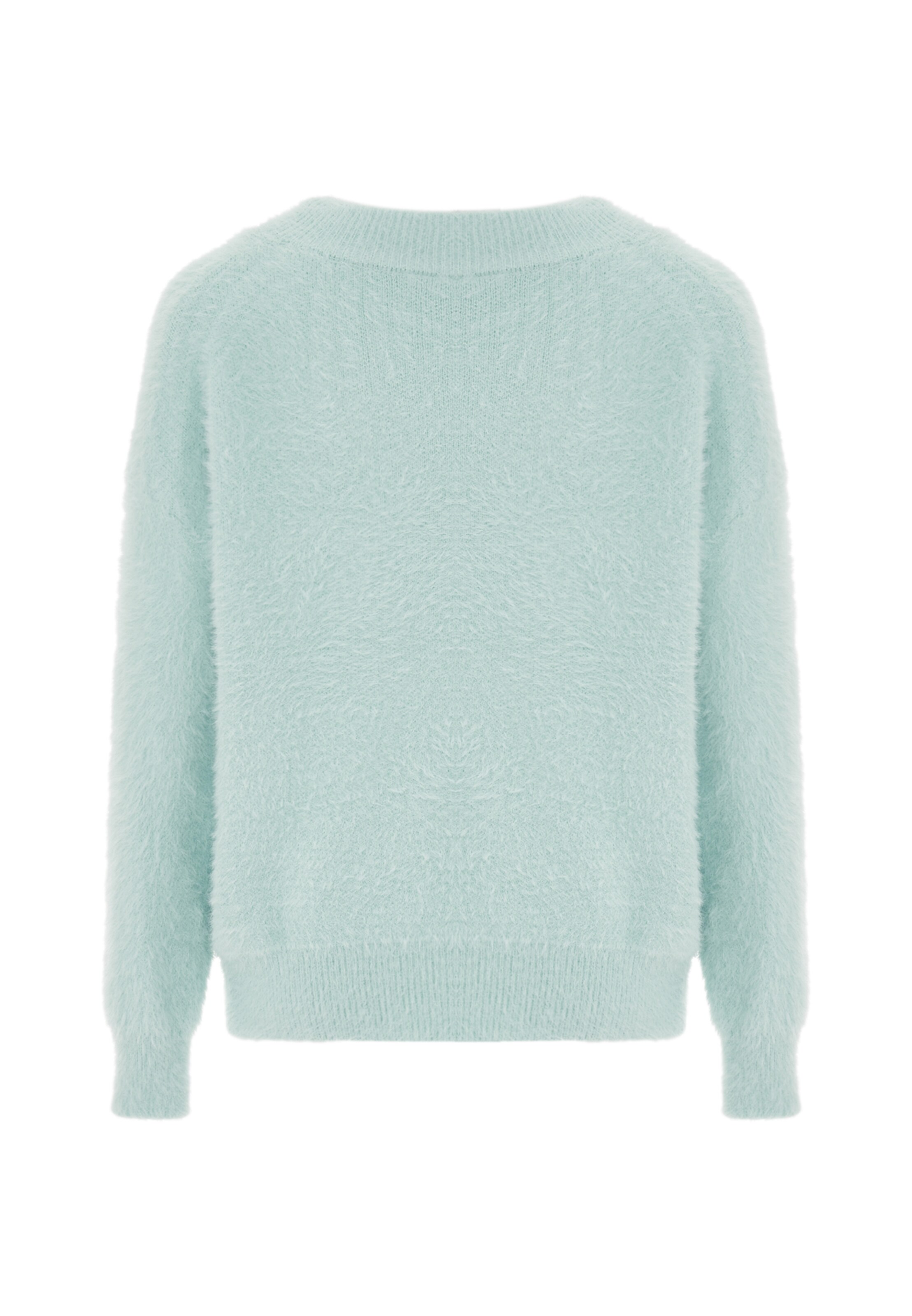 Poomi Pullover in Grün